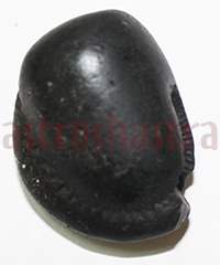 Shaligram 10759 15gm